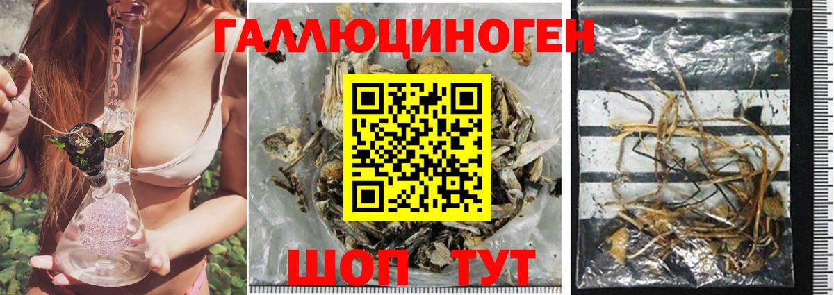 Галлюциногенные грибы ЛСД Мценск