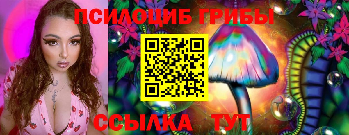 Мценск  Псилоцибиновые грибы Psilocybe  Галлюциногенные грибы ЛСД  Вход с VPN 